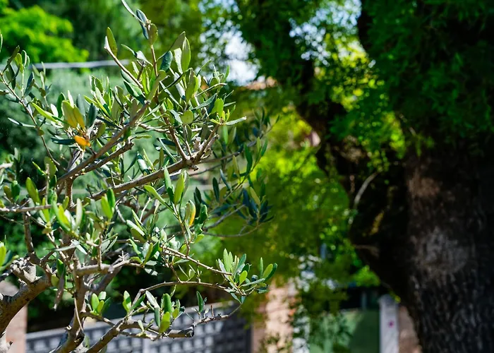 게스트하우스 Babette 4*